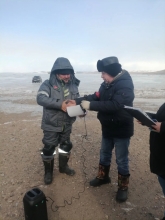 Первенство Дорпрофжел по подледному лову февраль 2026